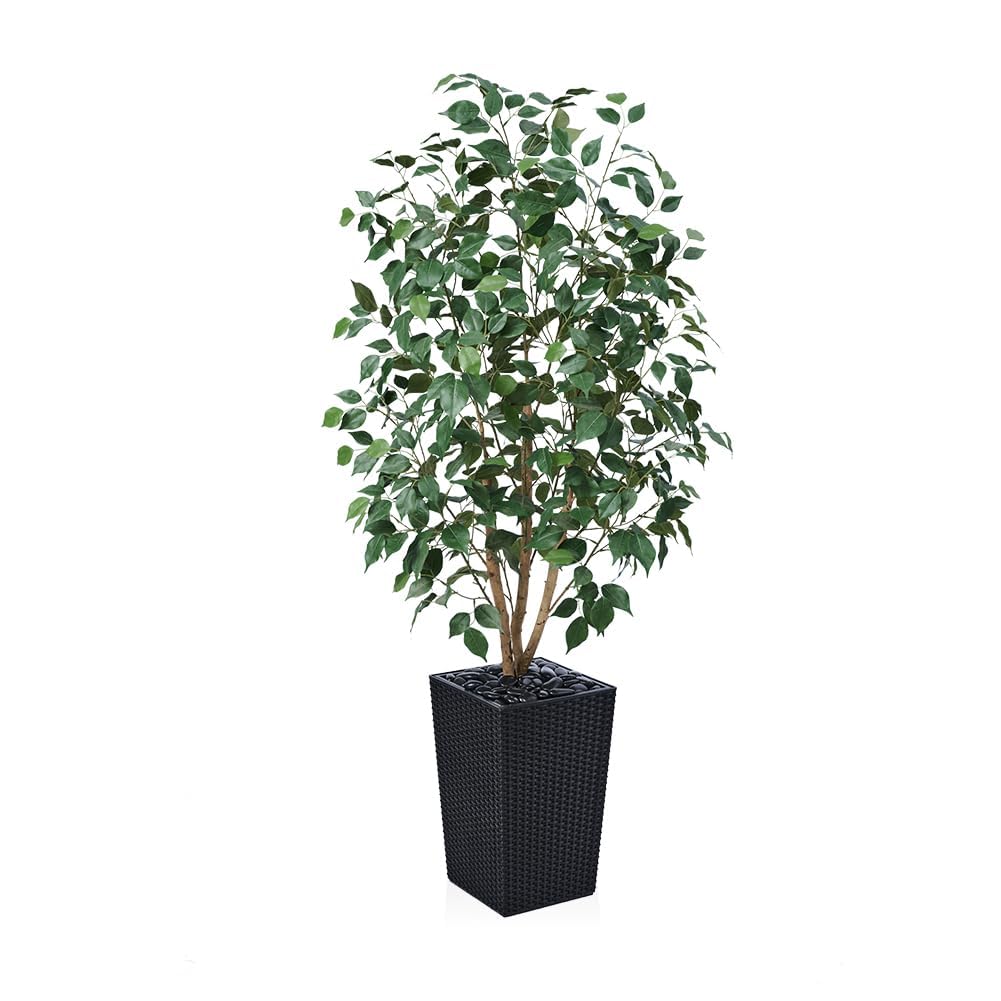 VeriNatural 5ft Artificial Ficus Tree,Tall Faux Tree with Silk Leaves & Real Wood Trunk,UV Resistant Potted Fake Plant with Pebbles & Planter-Indoor Outdoor Floor Plant for Home,Living Room,VN129