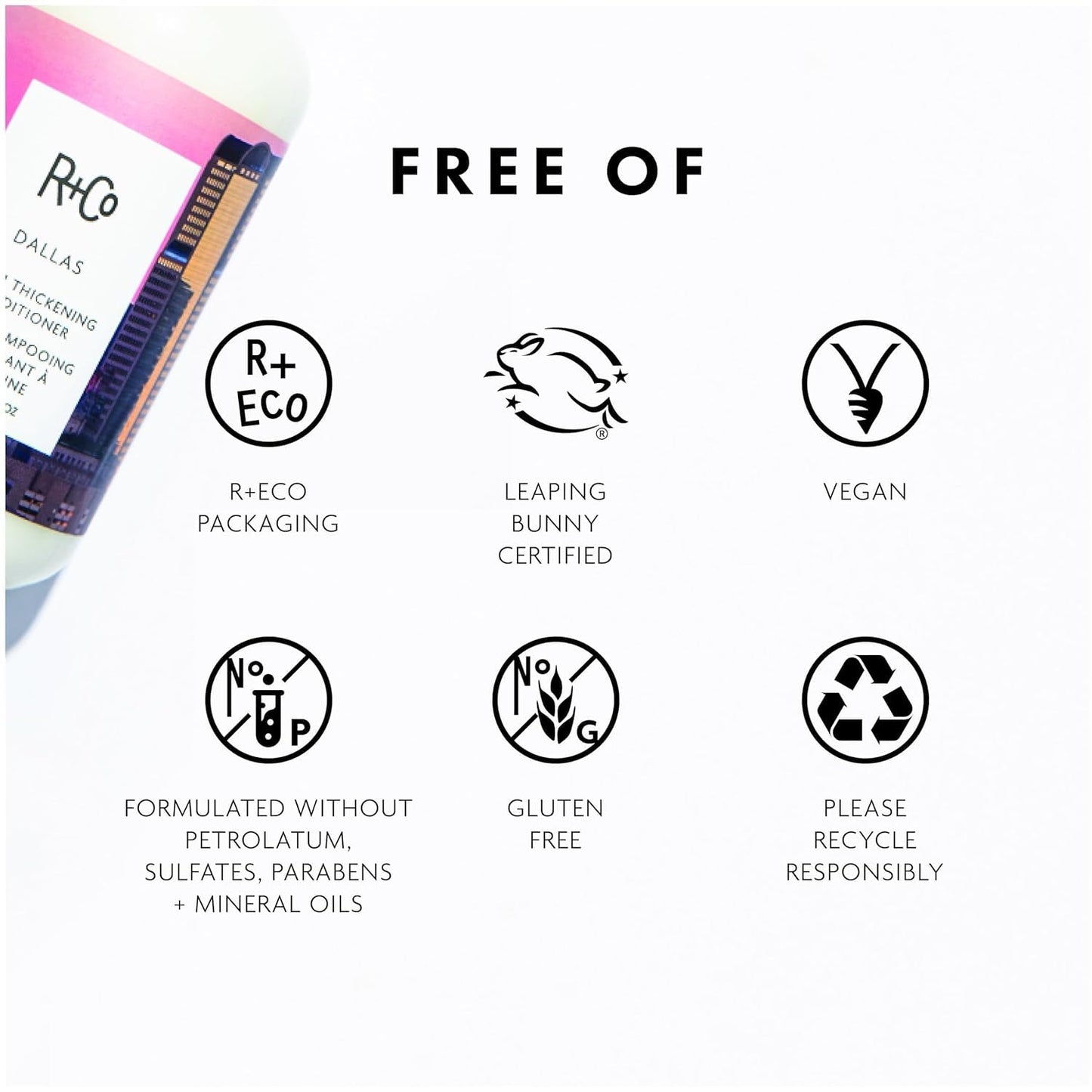 R+Co Dallas Biotin Thickening Conditioner | Weightless Hydration, Strengthens + Enhances Shine | Vegan + Cruelty-Free | 2 Oz