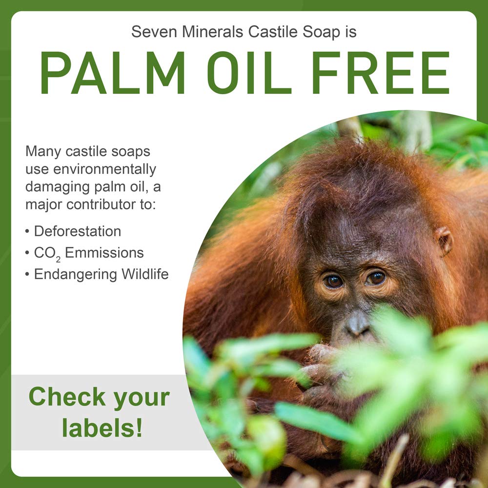 Pure Castile Soap, Lemon - No Palm Oil, GMO-Free - Gentle Liquid Soap For Sensitive Skin & Baby Wash - All Natural Vegan Formula