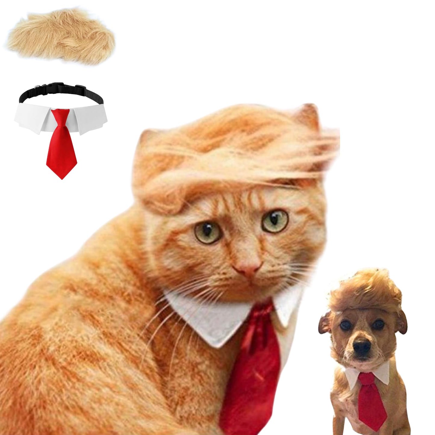 Pet Cat/Dog Blonde Wig with Tie - Iconic and Playful Toupee Hat, Cosplay Dress Up Clothing Costume Halloween Accessories (RedTie, L)