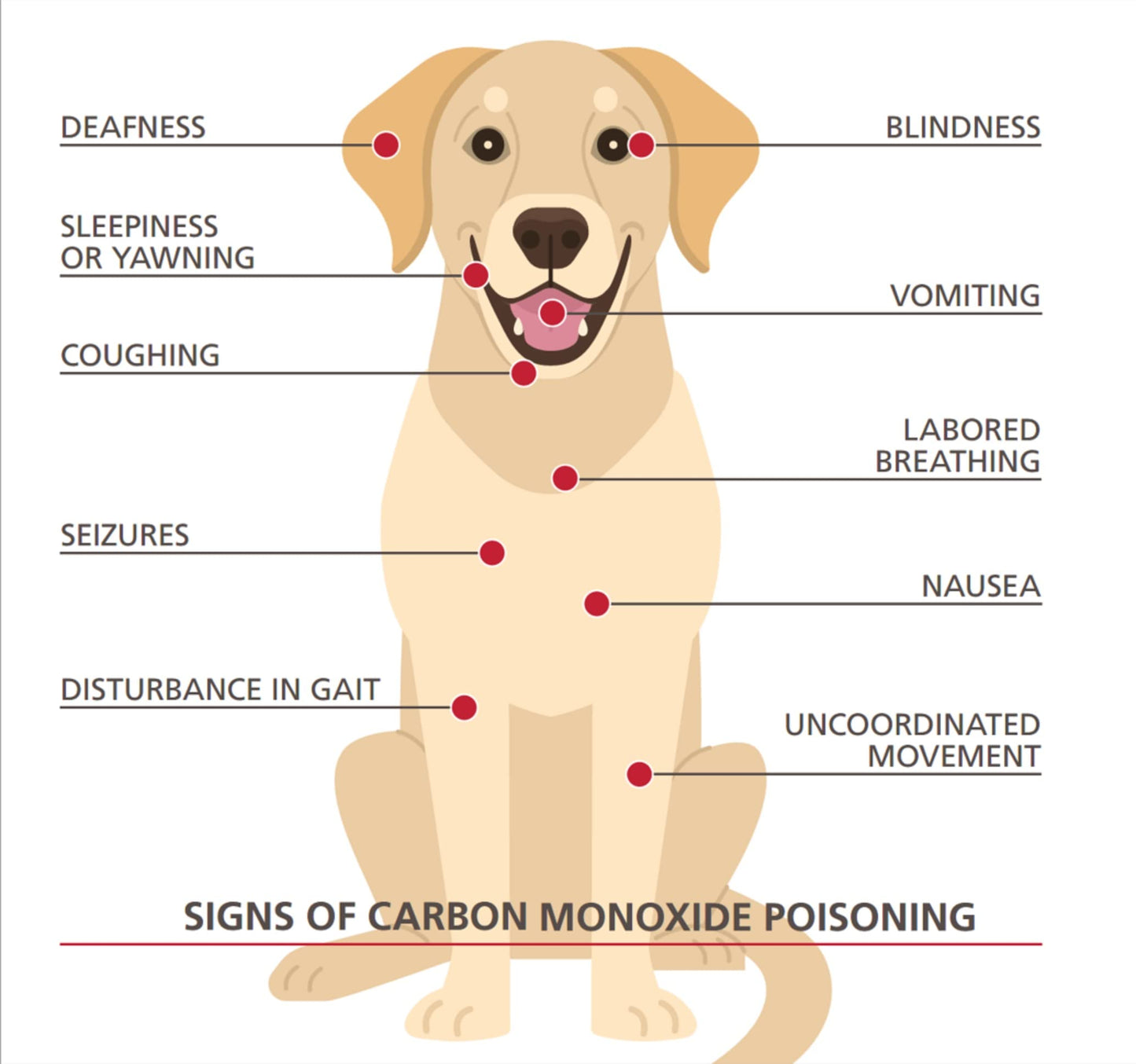 Kidde Ultra-Sensitive Carbon Monoxide Detector for Pets, Health, or Medical Conditions, Battery Powered with Digital Display, UNIT