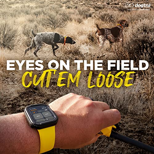 Dogtra Pathfinder 2 - Hunting Ecollar GPS Dog Training Collar with Remote, 9 Mile Range, Tracking & Containment for Medium...