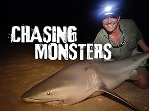Chasing Monsters