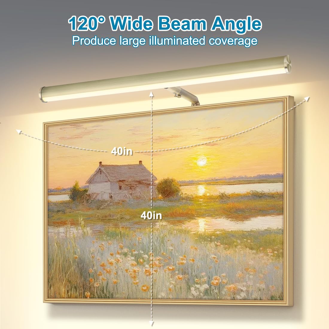 Xbuyee LED Picture Lights for Paintings Plug in, 16inch 6W Adjustable Art Light Gallery Wall Light for Display Art Work, Antique Brass Finish, CRI90+, 3000K Warm White