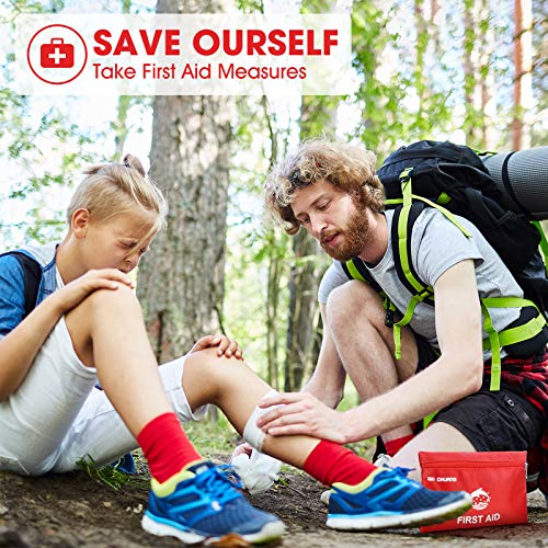 Small Travel First Aid Kit - 87 Piece Clean, Treat and Protect Most Injuries,Ready for Emergency at Home, Outdoors, Car, C...