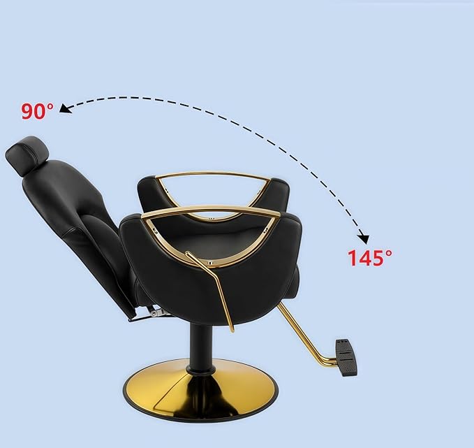 Barber Chair, Salon Chair for Hair Stylist, Height Adjustable Hydraulic Hair Reclining Salon Chair, 360 Degrees Rotation,Black