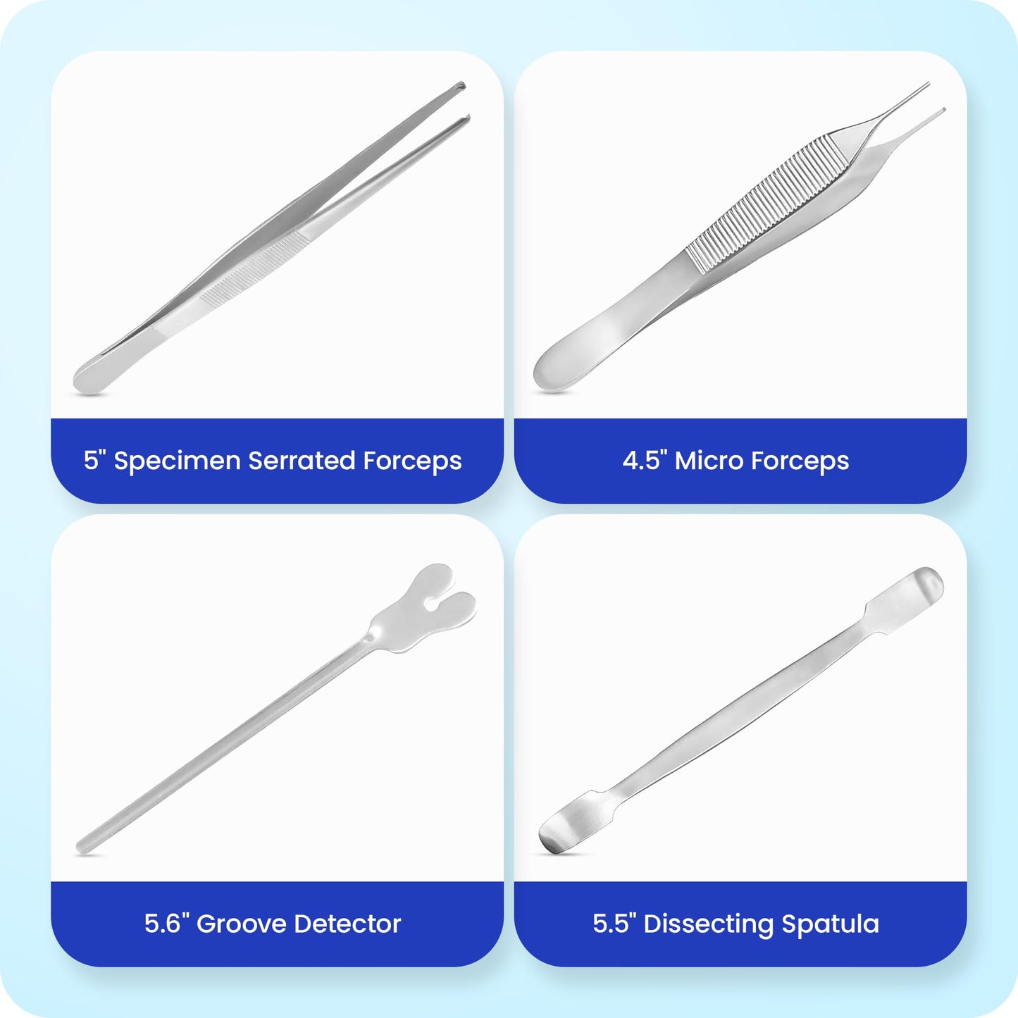Core Flex Advanced Dissection Kit Biology Lab Anatomy Dissecting Set with Stainless Steel Scalpel Knife Handle Blades for Medical and Veterinary Students Stainless Steel 38-Piece