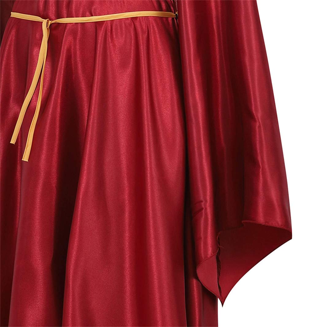 Parlsdy Womens Deluxe Medieval Victorian Costume Renaissance Long Dress Costumes Irish Over Cosplay Retro Gown Wine Red-3XL