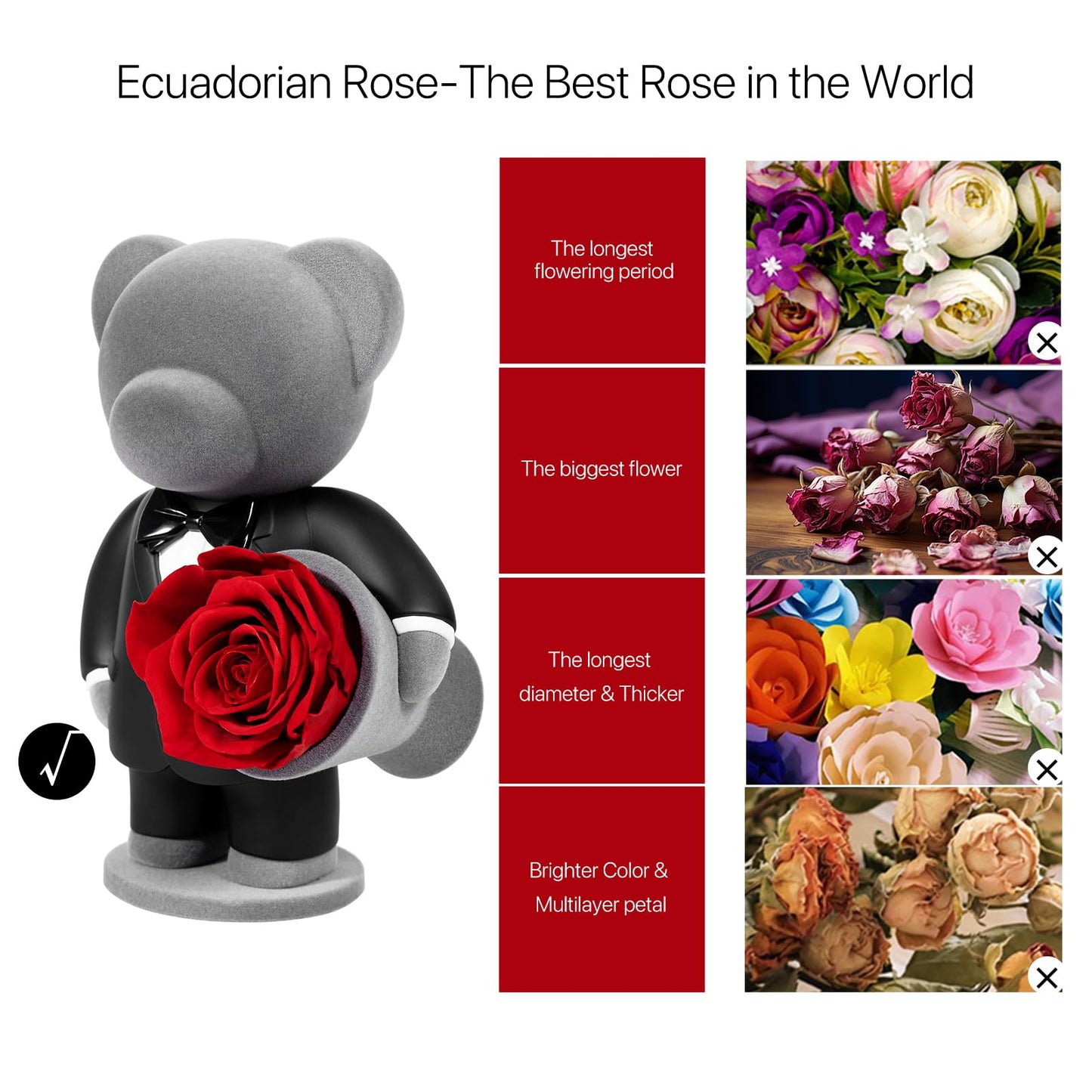 JoyFlower Preserved Flowers with Cute Teddy Bear in Suit, Unique Gentleman Bear Eternal Real Red Rose Romantic Gift with Elegant Gift Box for Girlfriend Wife Her in Valentines Birthday Anniversary