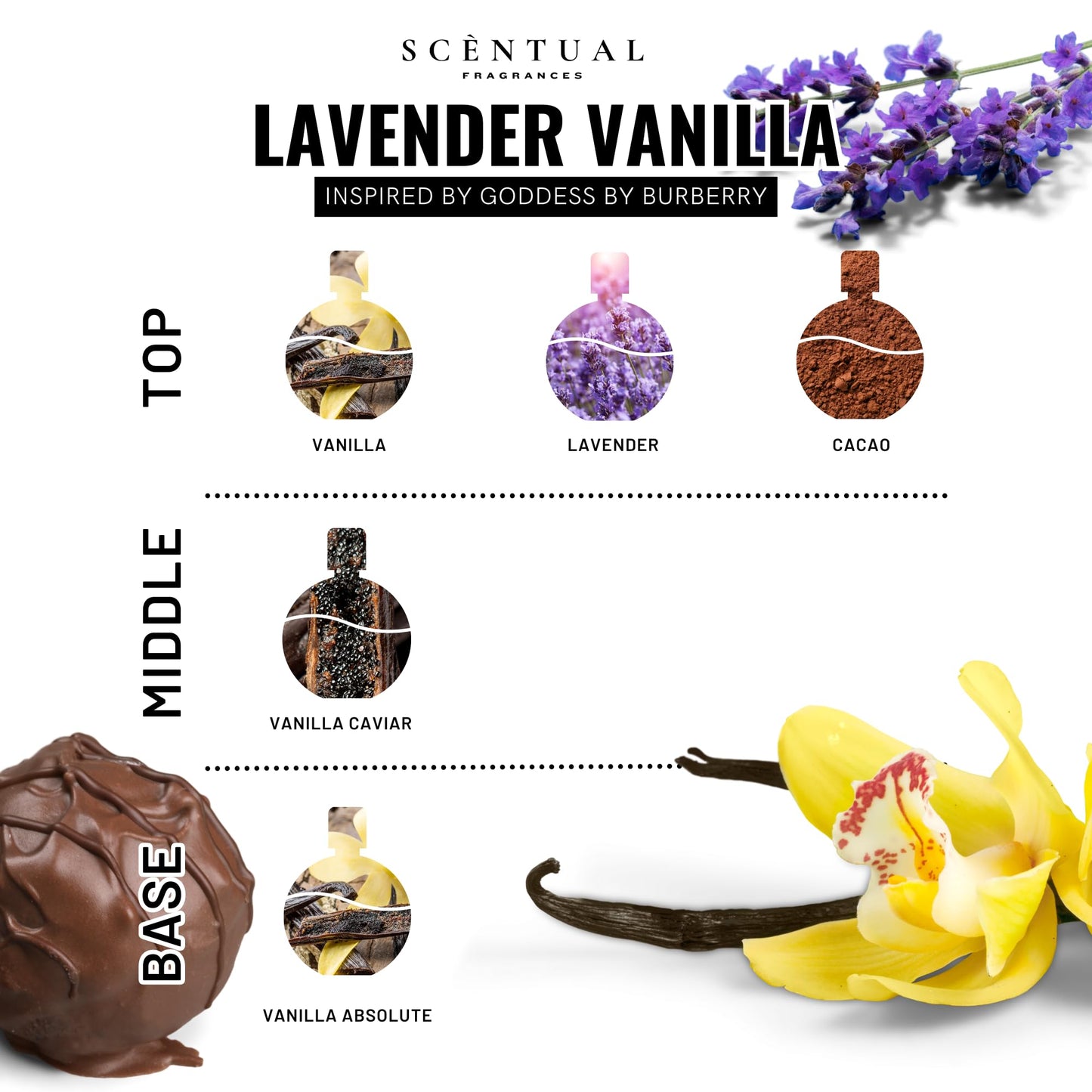 Luxury Perfume Oil, Ultra-Concentrated Women Roll-On Fragrance Oil, Lavender Vanilla Gourmand Long Lasting Rollerball Travel Mini Perfume, Vegan, Alcohol & Cruelty Free 10ml (Lavender Vanilla)