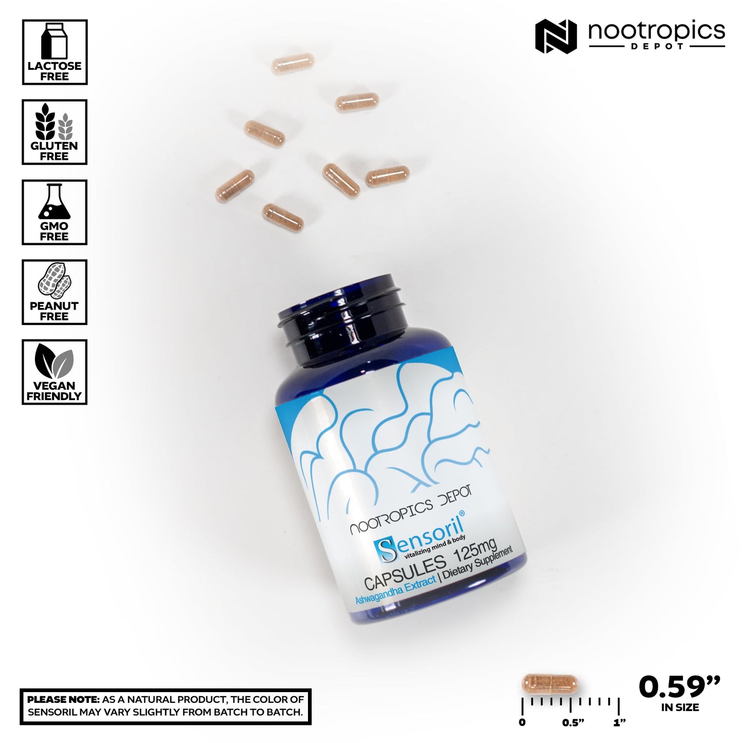 Nootropics Depot Sensoril Ashwagandha Capsules | 125mg | 180 Ct. | Ayurveda Supplement | Standardized Withania somnifera Extract | to Support Healthy Energy, Mental Cognition + Cardiovascular Health