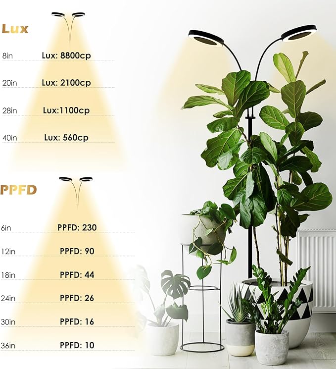 GLOWRIUM Grow Lights for Indoor Plants, Full Spectrum LED Grow Light Floor Lamp with Stand Adjustable Height and Angle, Black Plant Light with 3/9/12H Grow Light Timer (Black, 36W)