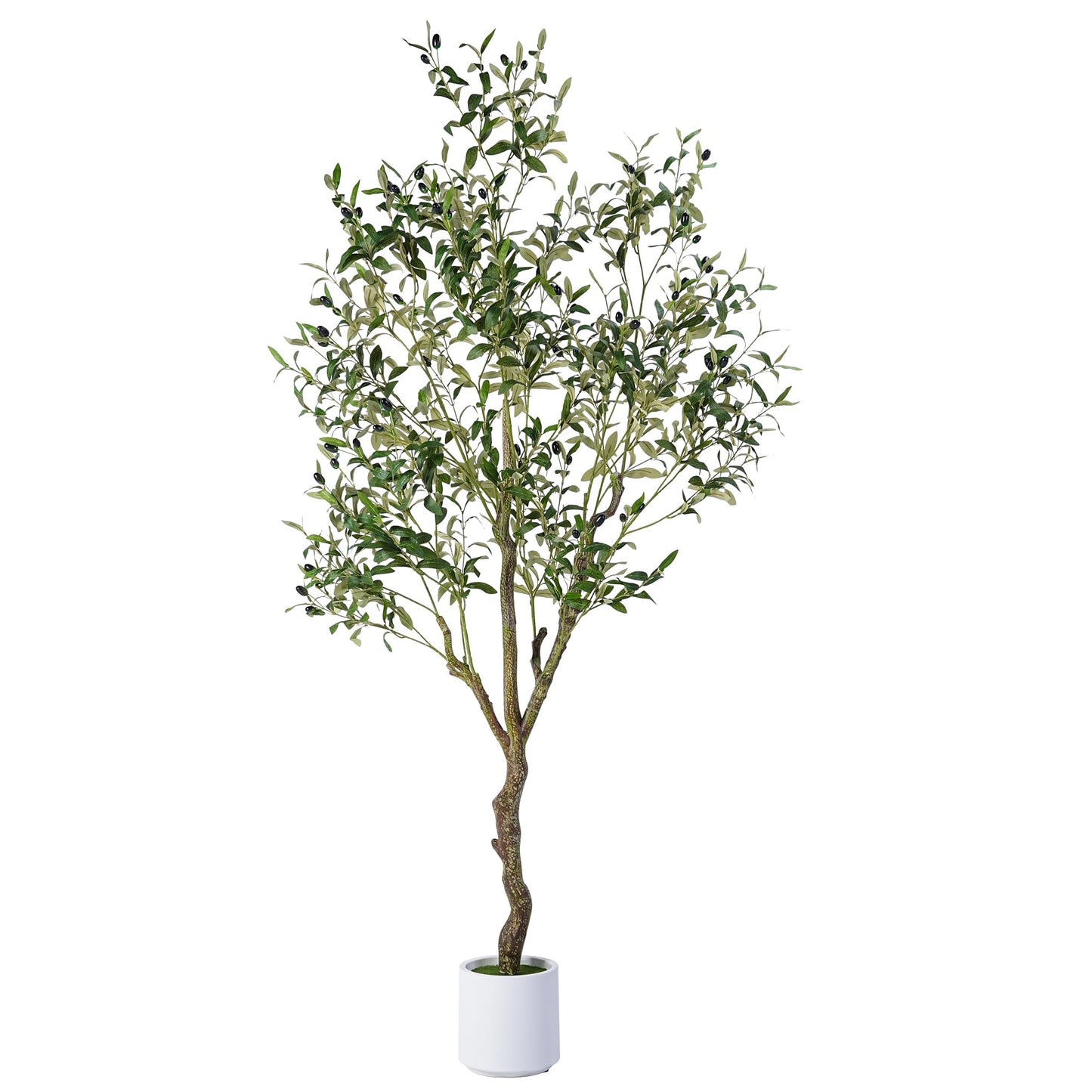 Jocoevol Artificial Olive Tree 6FT, Indoor Fake Silk Plant with Realistic Trunk, Leaves, Fruits and White Planter, Faux Potted Tree for Home Decor and Housewarming Gift, 1 Pack