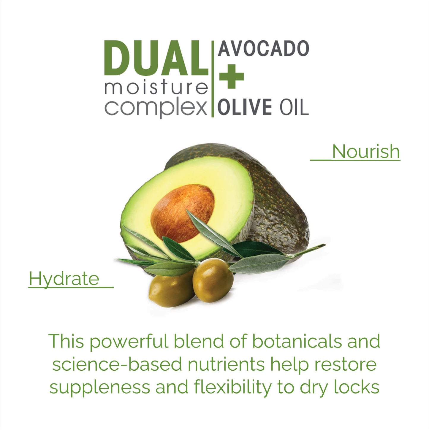 GIOVANNI 2chic Ultra-Moist Shampoo - Avocado & Olive Oil, Creamy Hydration Formula, Enriched with Aloe Vera, Shea Butter, Botani