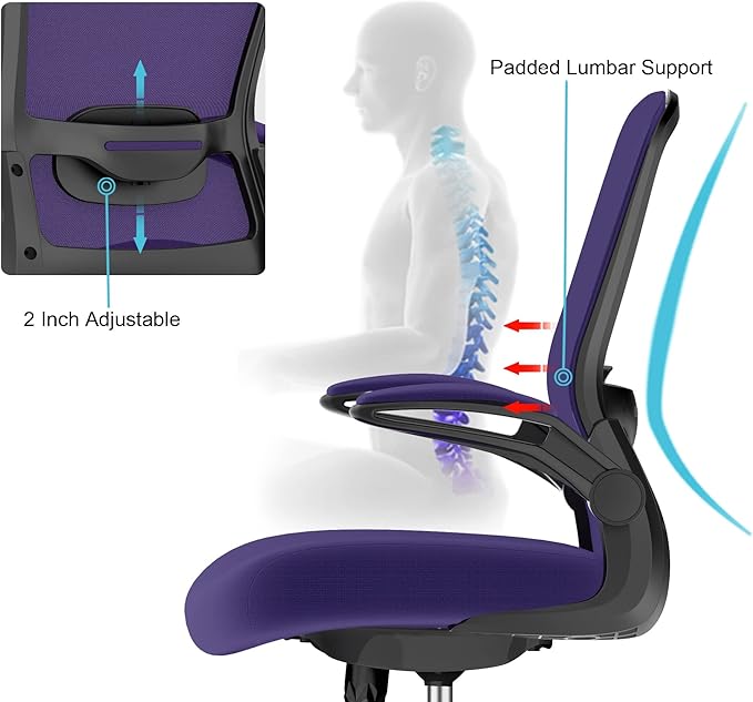 Mimoglad Office Chair, Ergonomic Desk Chair with Adjustable Lumbar Support, High Back Mesh Computer Chair with Flip-up Armrests-BIFMA Passed Task Chairs, Executive Chair for Home Office