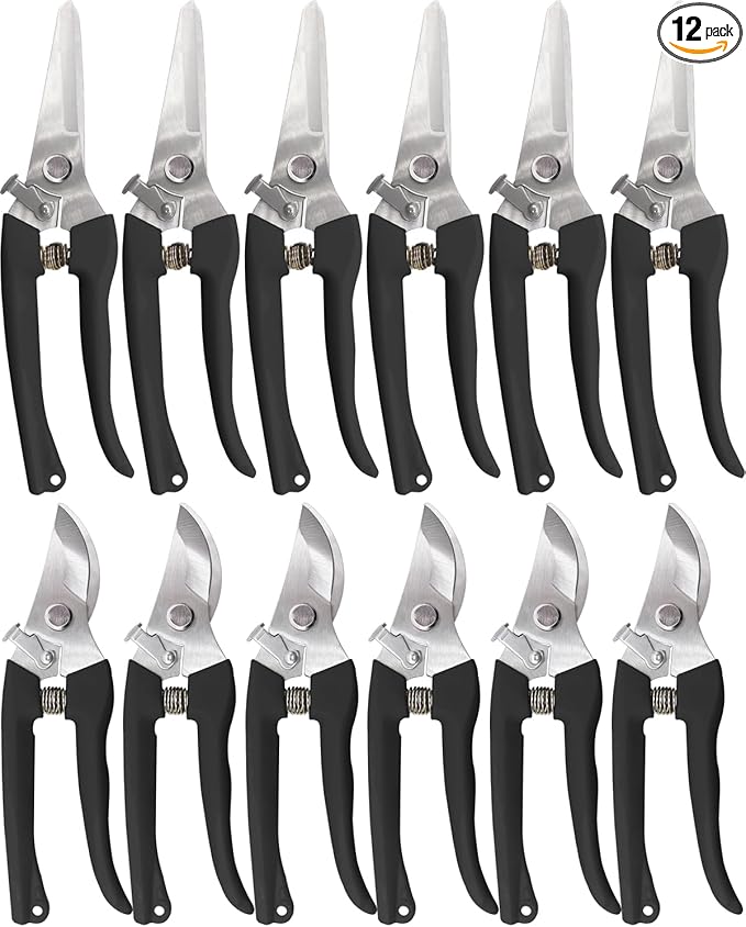 Garden Scissor for Plant, 12 Pcs Floral Scissors, Tip Pruning Shears Bulk for Cutting Flowers, Bonsai, Fruits and Trimming Plants(Black)
