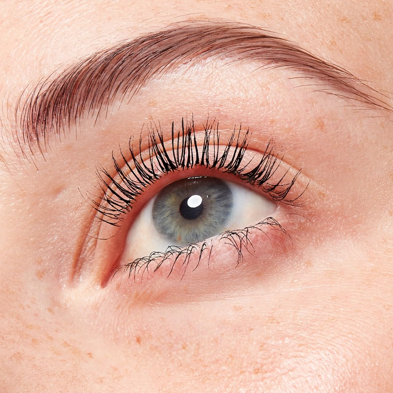 COVERGIRL Makeup Masters Eyelash Curler (packaging may vary)