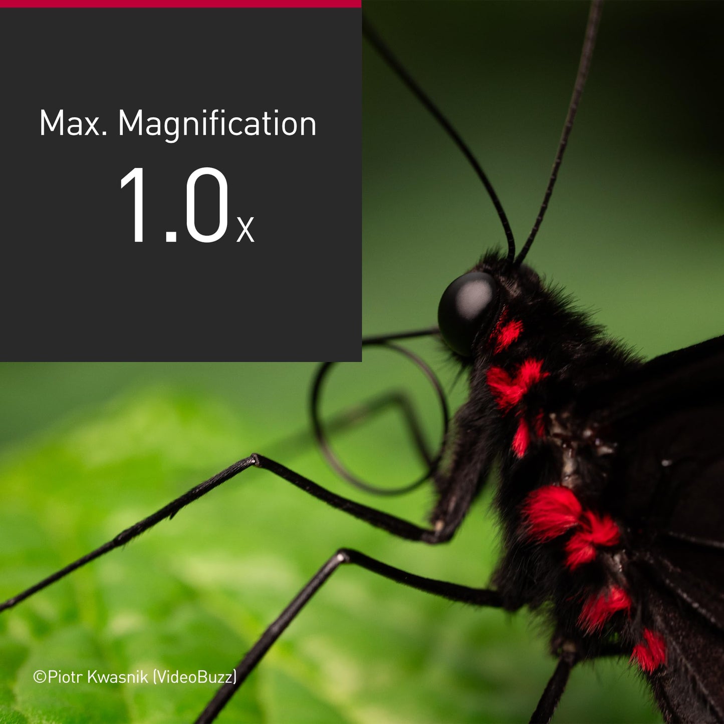 Panasonic LUMIX Full Frame Camera Lens, S 100mm F2.8 Macro - S-E100J