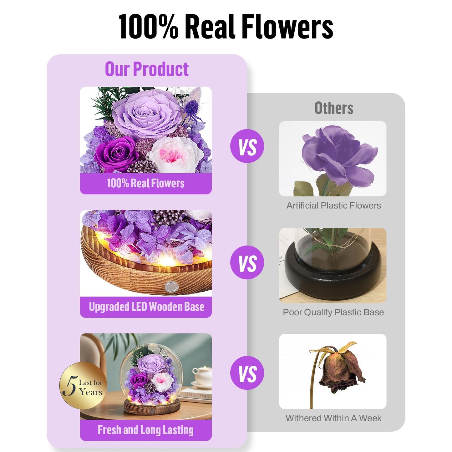 MAMAMIKO Preserved Roses in Glass Dome with LED Light - Long Lasting Real Roses, Forever Flowers for Delivery, Mothers Gifts for Her, Mom, Wife Anniversary Birthday Gifts for Women, Purple