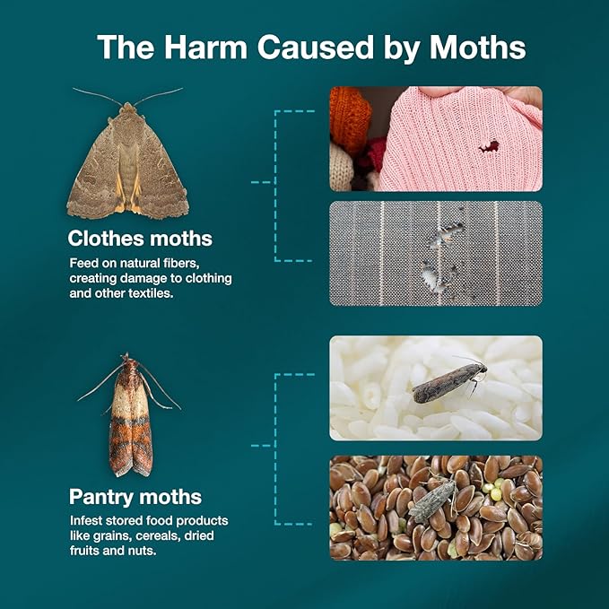 ZingZap Moth Trap 10-Pack, Slowly Releases Enhanced 2X Pheromones, Lures, Trap & Kill Pantry & Clothes Moths, Food, Wardrobe & Dresser Moth Treatment & Prevention, Odorless, Safe & Eco-Friendly