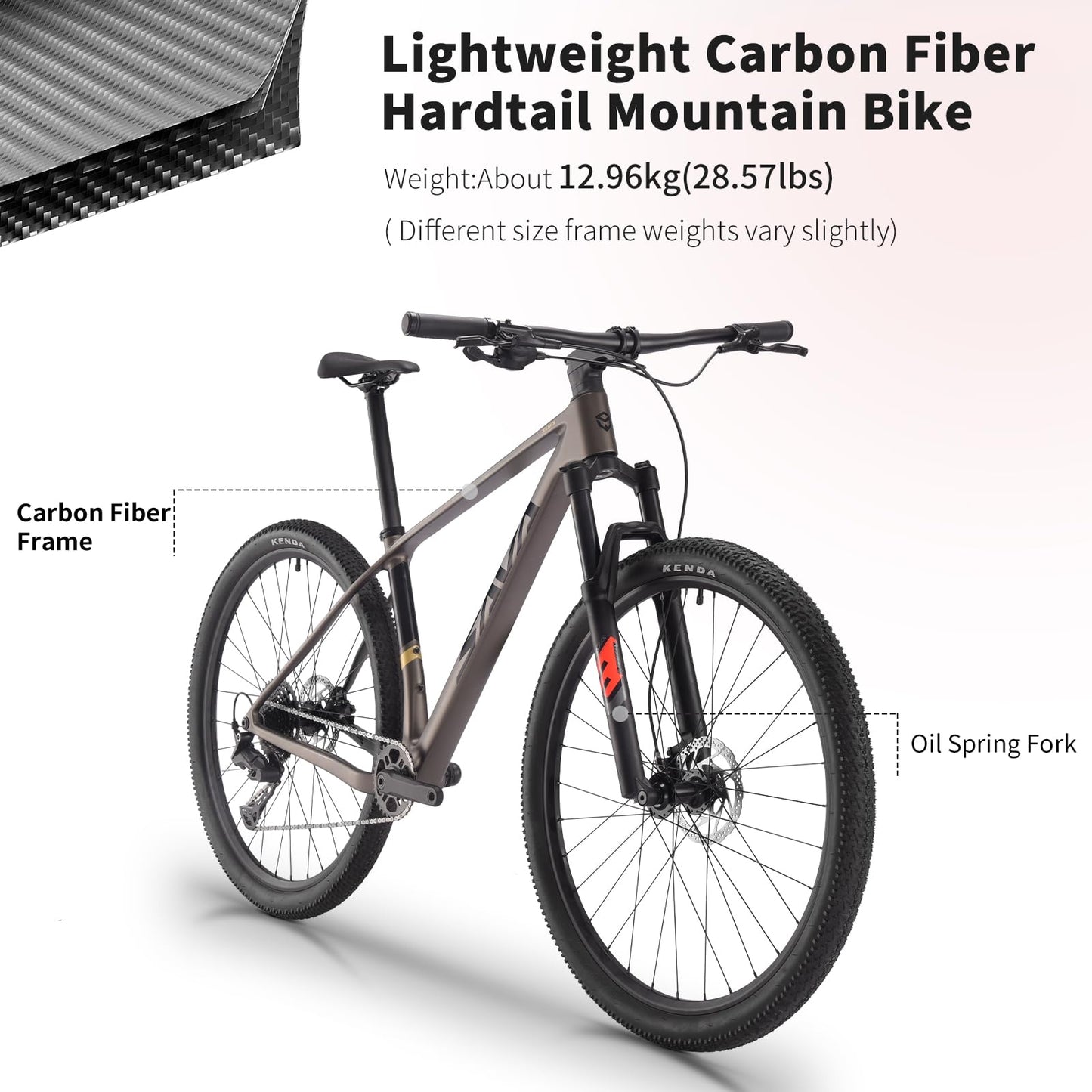 SAVADECK Carbon Fiber MTB with U6000 10 Speed Shift Groupset, Hydraulic Disc Brake with MT200 Break System (Gulf Blue, 27.5 * 17)
