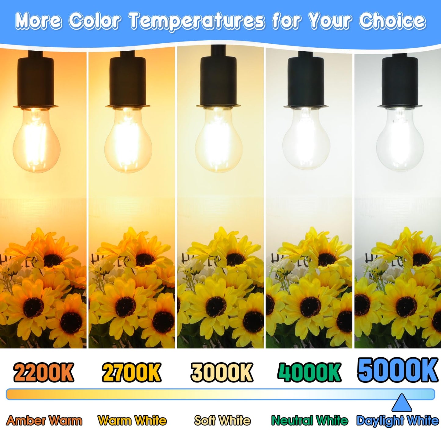 MAXvolador 60W Equivalent E26 LED Filament Light Bulbs, 850LM Daylight White 5000K LED Edison Bulb, Non-Dimmable 6W A19 LED Bulb Medium Base, 4-Pack