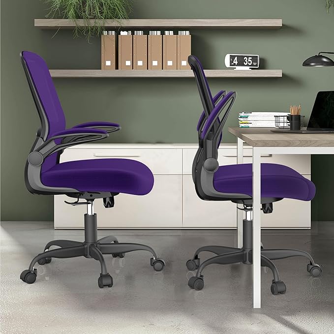 Mimoglad Office Chair, Ergonomic Desk Chair with Adjustable Lumbar Support, High Back Mesh Computer Chair with Flip-up Armrests-BIFMA Passed Task Chairs, Executive Chair for Home Office