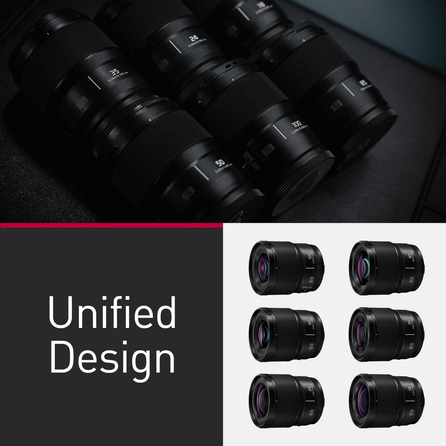 Panasonic LUMIX Full Frame Camera Lens, S 100mm F2.8 Macro - S-E100J