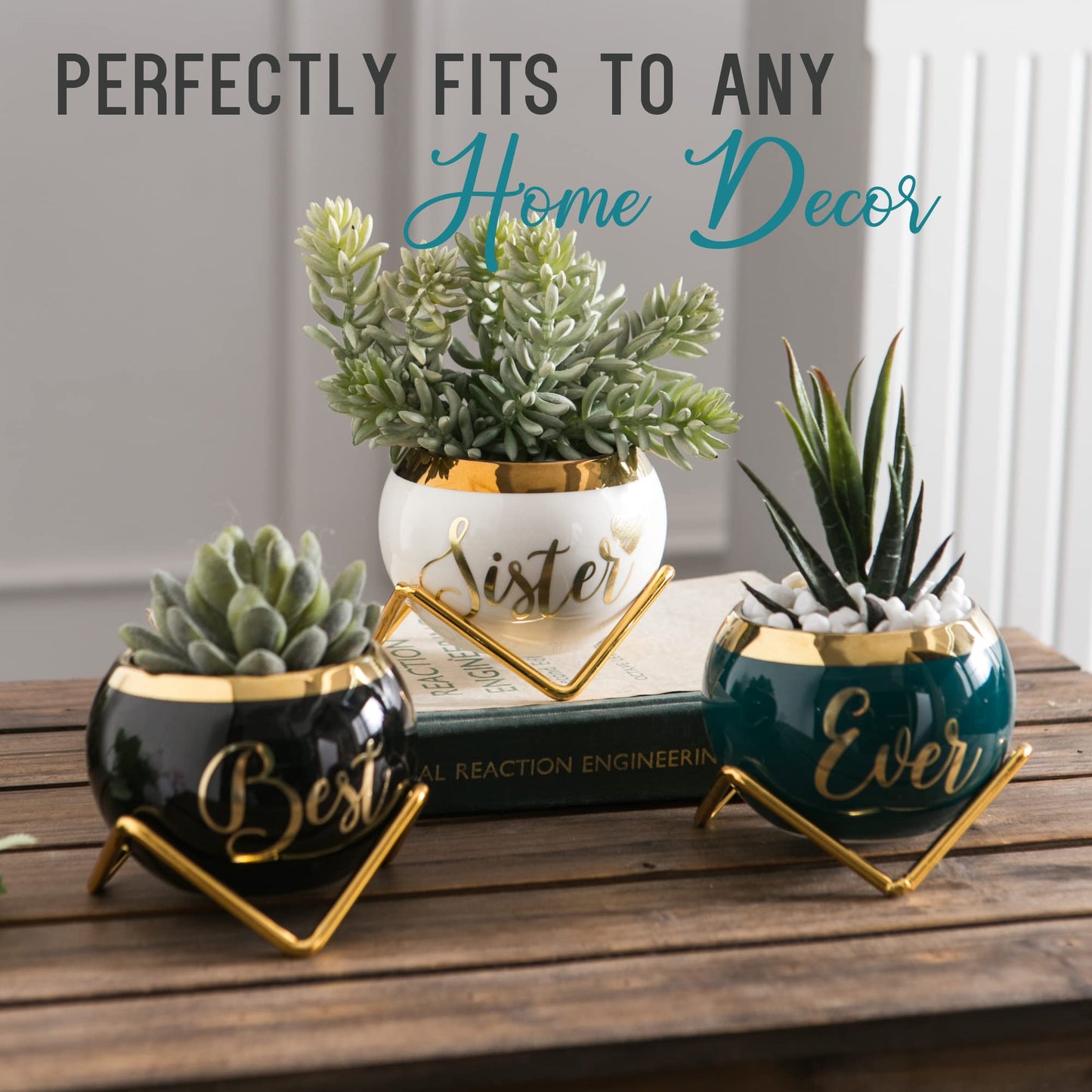 Sister Birthday Gifts for Women from Sisters, Mothers Day Gifts for Sisters from Sisters Adult, Cool Gifts for Adult Sister, Gift for Women Friend, Little Sister Gifts, Succulent Pot Gifts for Ladies