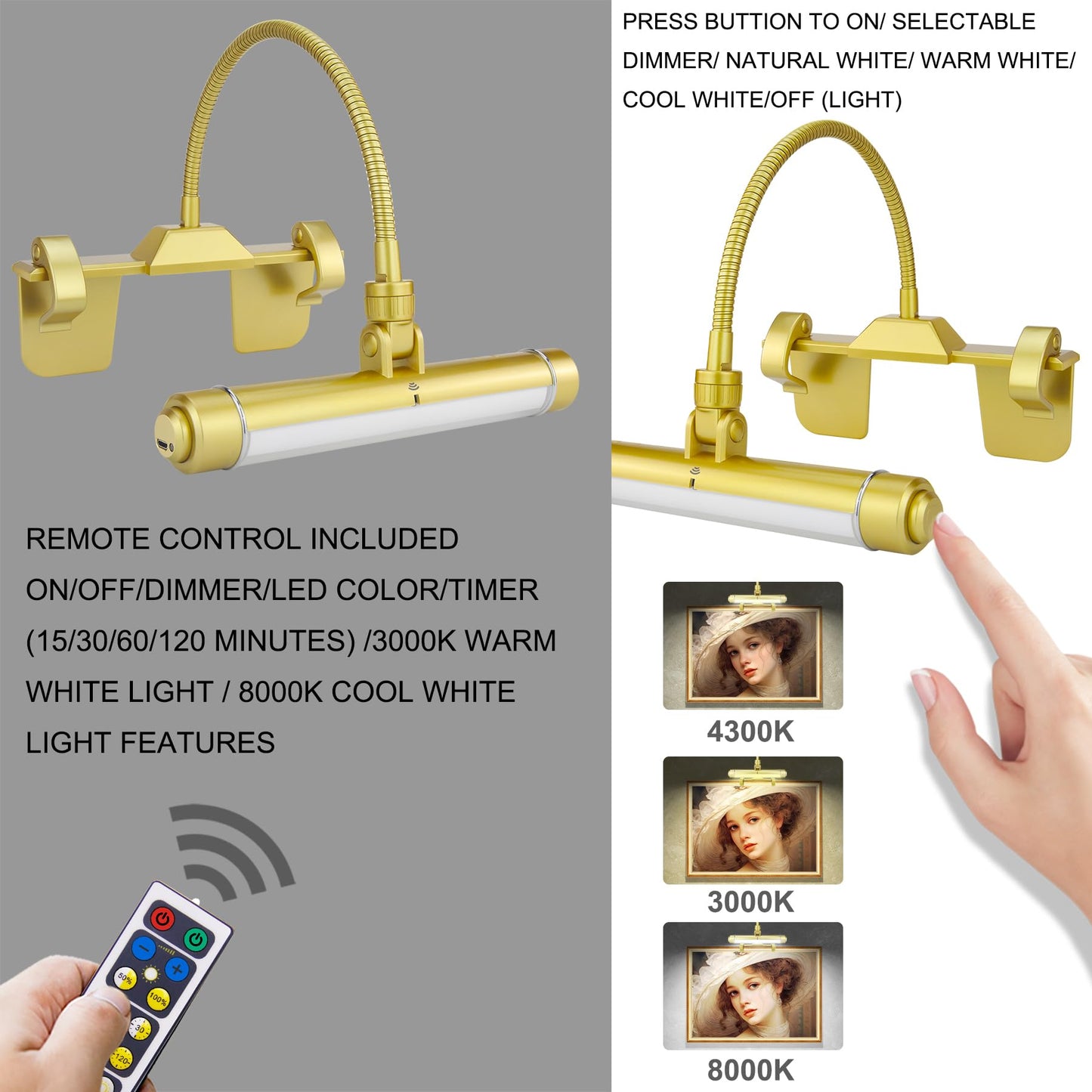 HONWELL Painting Lights Cordless, Dartboard Light with Remote, Rechargeable Picture Light, Picture Frame Lights with 3 Modes 28 LEDs Rotate Head, 360° Flexible Neck,Clip on Display Light for Artwork