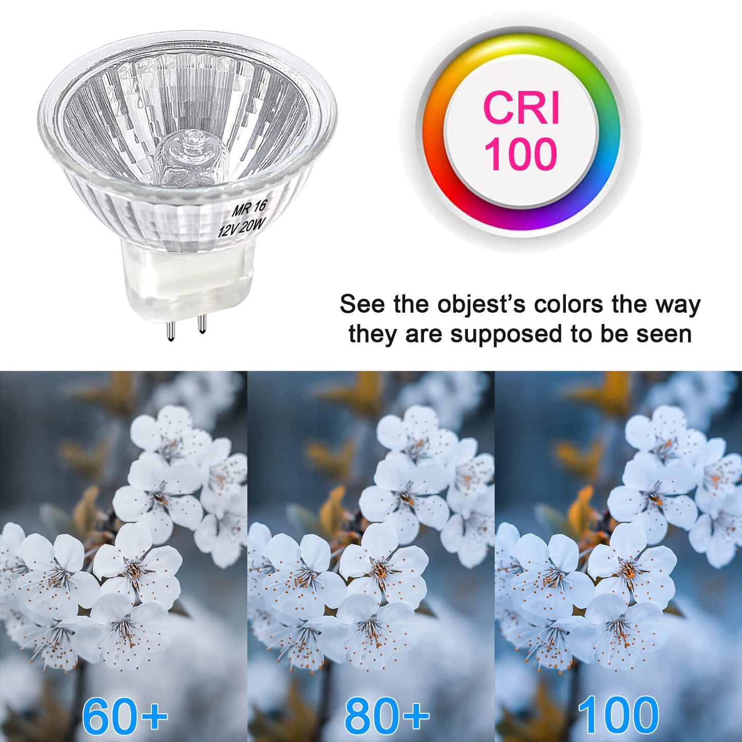 MR16 Halogen Bulb 20W Dimmable 12V GU5.3 Bi Pin Base Spotlight with Long Lifespan, 2700K Warm White MR16 Bulbs with Clear Glass Cover for Landscape, Track Lights, Fiber Optics, Desk Lamps, 6 Pack