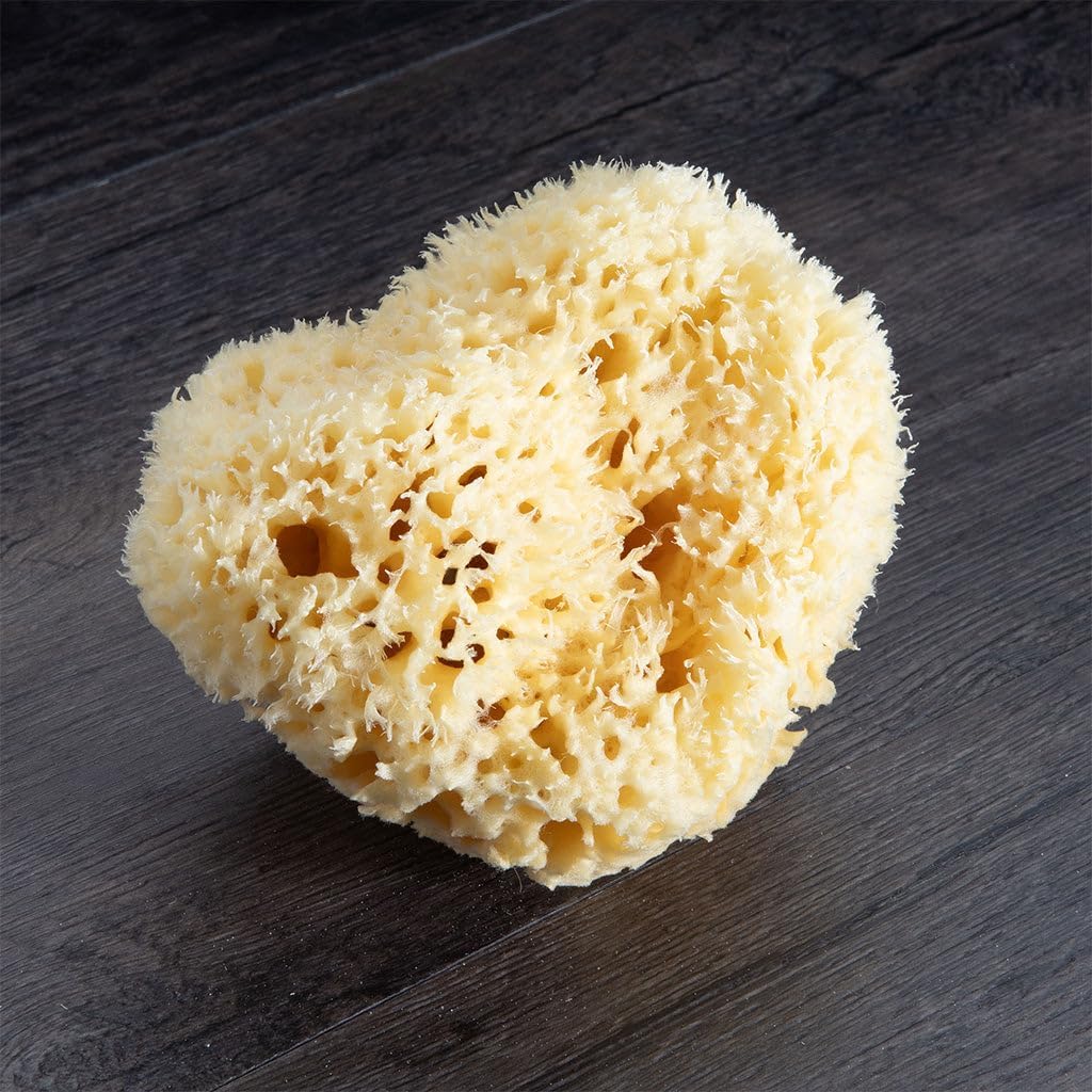 Neptune Natural Sea Wool Sponge - All Natural Honeycomb Renewable Sea Sponge, X -Large, Approx. 6 Inches