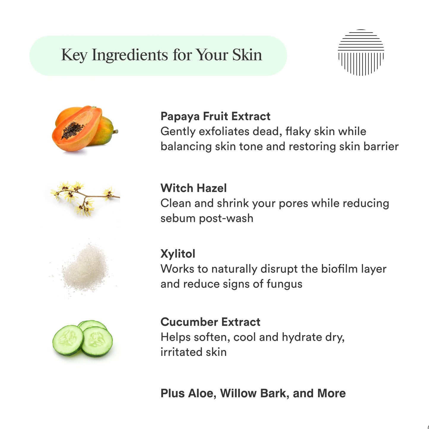 Dermazen Natural Mineral & Enzyme Body Wash for Men & Women | Malassezia Safe | Gentle, Hydrating & Nourishing Cleanser w/Papaya