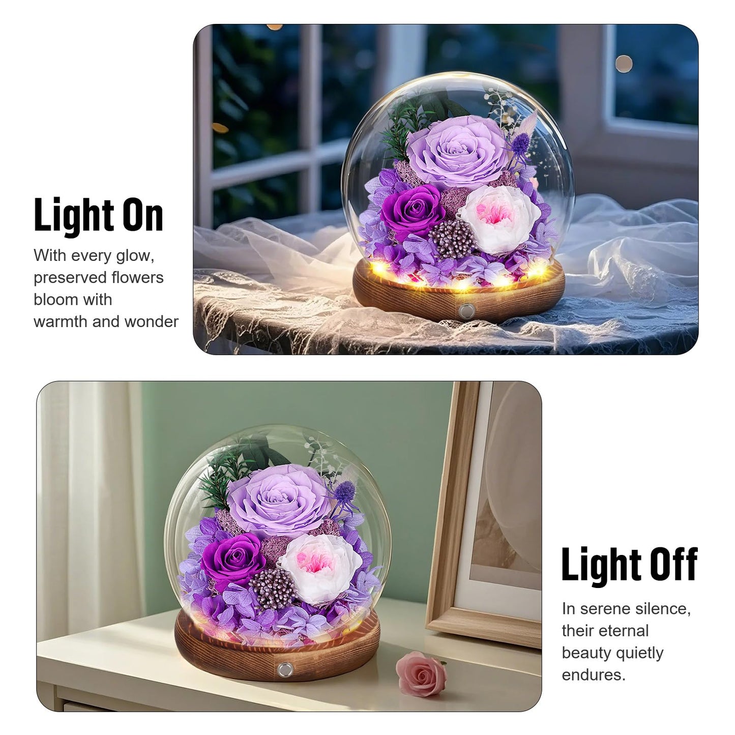 MAMAMIKO Preserved Roses in Glass Dome with LED Light - Long Lasting Real Roses, Forever Flowers for Delivery, Mothers Gifts for Her, Mom, Wife Anniversary Birthday Gifts for Women, Purple