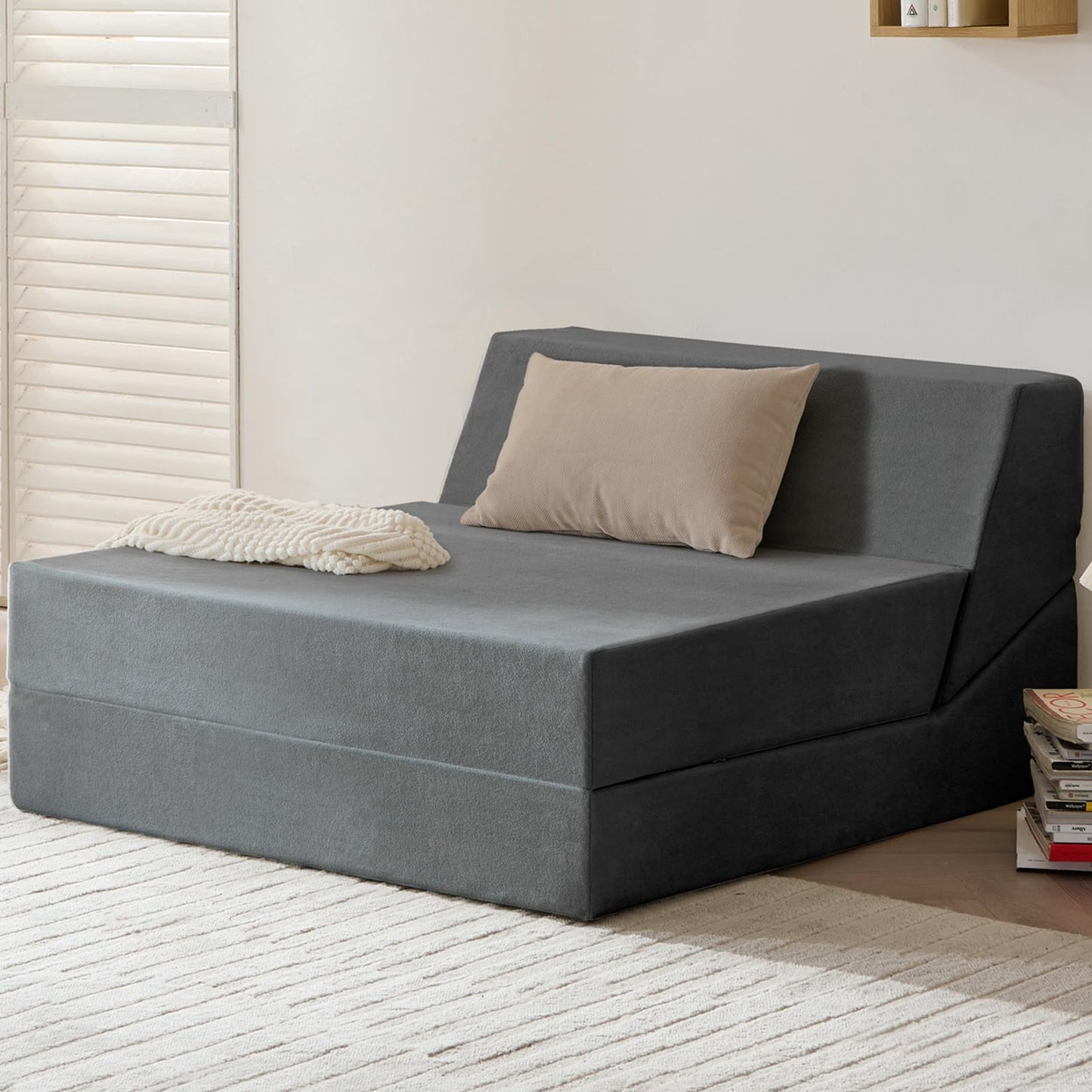 Rilelola Folding Sofa Bed, Sleeper Chair and Futon Couch, Convertible Sofa Bed, Floor Sofa for Living Room/Guest Room/Dorm/Home Office, Twin Size, Dark Gray