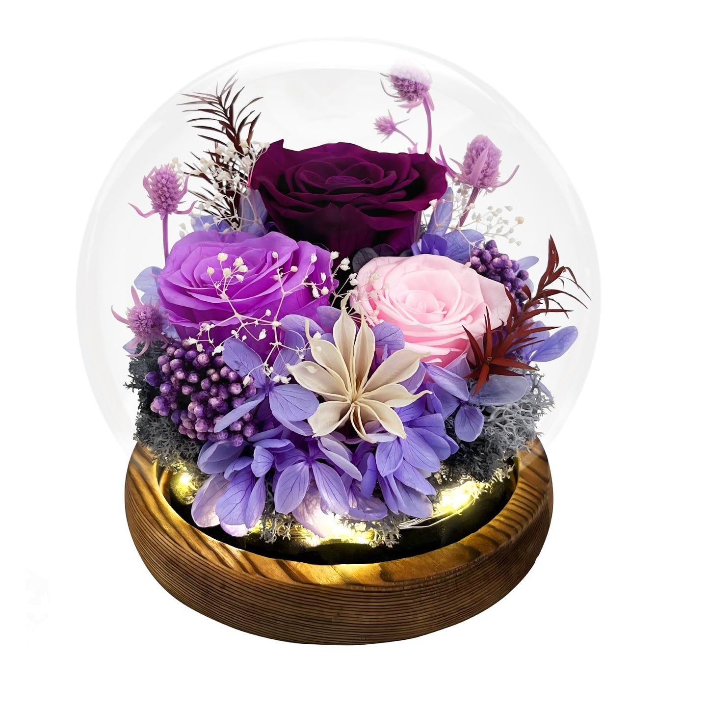 FIACO Gifts for Mom Women Birthday Preserved Flowers in Glass Dome Forever Fresh Flowers for Delivery Prime Long-Lasting Eternal Roses Gifts for Grandma Sister Daughter Wife Her Girlfriend Purple
