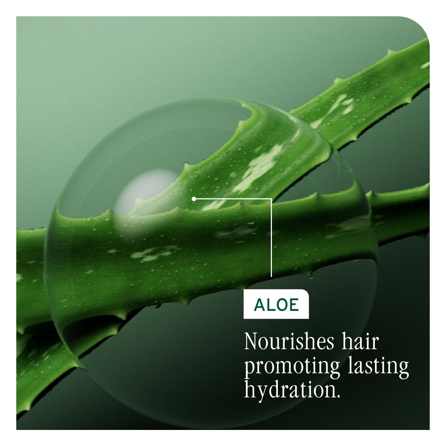 Biolage Hydra Source Deep Treatment Mask - Nourishes & Smooths, For Dry Hair, Infused with Micro-Filtered Aloe Vera & Fermented