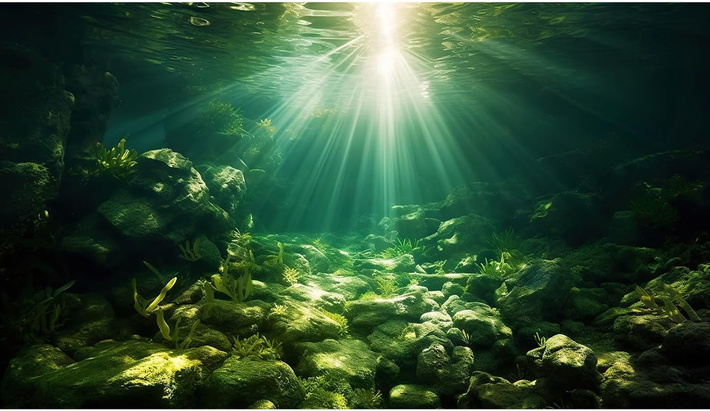 Underwater Sunray Aquarium Background Deep Ocean Rock Cave Fish Tank Background Under The Sea Coral Reef Aquarium Backgrounds Ocean Floor Tropical Fish Terrarium Backgrounds 24x16in