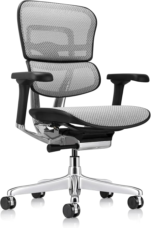 Ergohuman Eurotech ME8ERG GEN2 High Back Mesh Office Chair with Tilt Tension Control, Tilt Lock, Back Angle, Back Height, Synchro Tilt, Seat Height, Seat Depth, and Arm Height Adjustments, Grey
