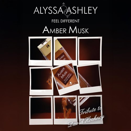 Alyssa Ashley Amber Musk - Cologne for Men - Perfume for Women - Jasmine, Iris, Benzoin, Amber, Vanilla, and Musk - Travel Perfume - 3.4 oz EDP Spray