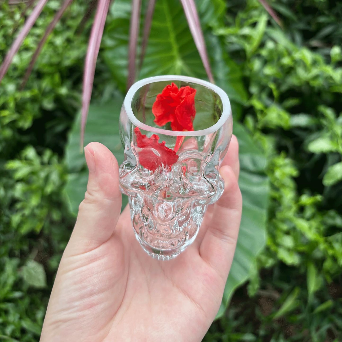 Funny Skull Shot Glass, (6pcs) 80ML (2.7oz) Small Wine Glasses Drinking Vodka Spirits Cup, Halloween Themed Party Holiday Gifts - 2.8 oz, Set of 6