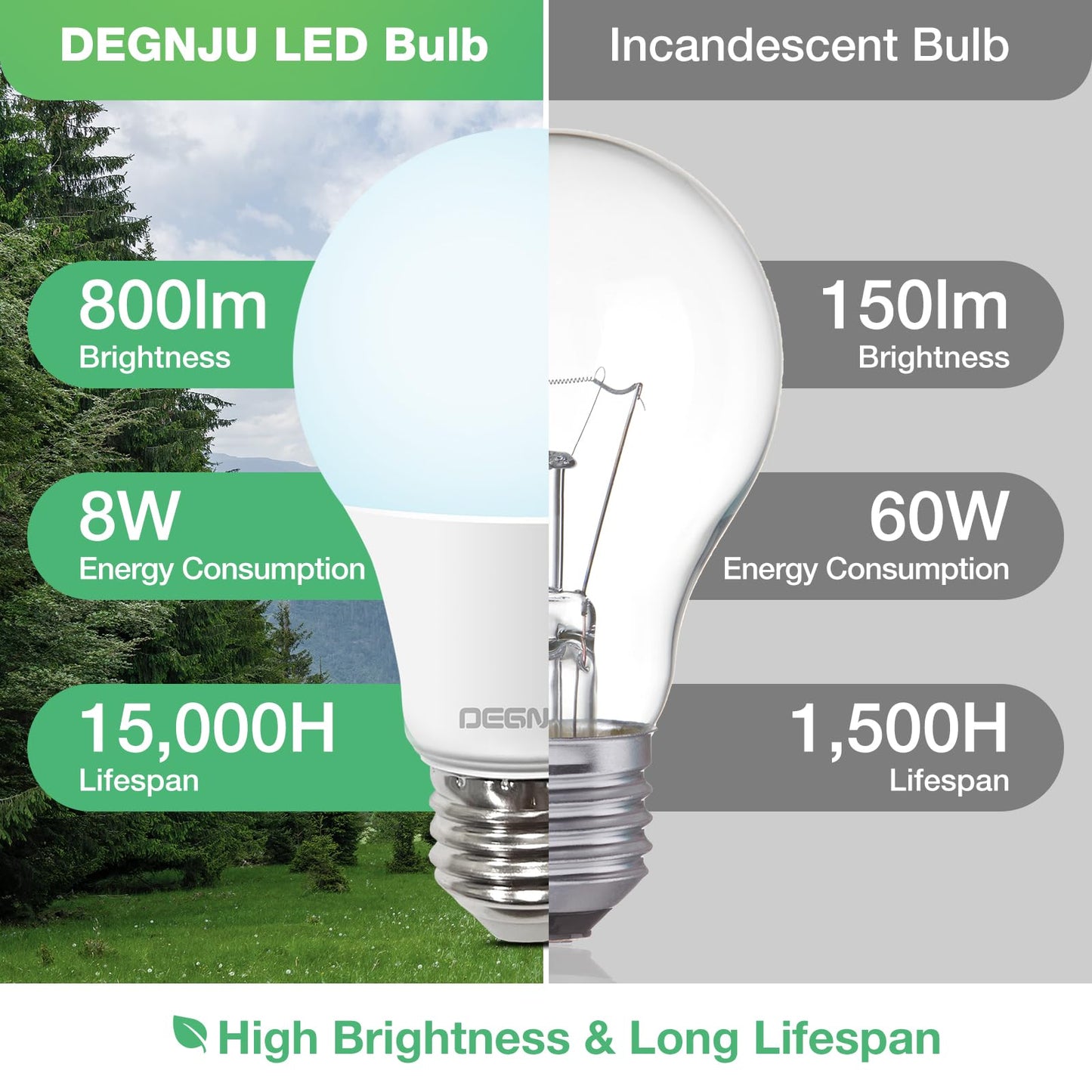 DEGNJU A19 LED Light Bulbs, 60 Watt Equivalent LED Bulbs, Daylight 5000K, 800 Lumens, E26 Standard Base, Non-Dimmable, 8W Warm White LED Bulbs for Bedroom Living Room,3 Pack
