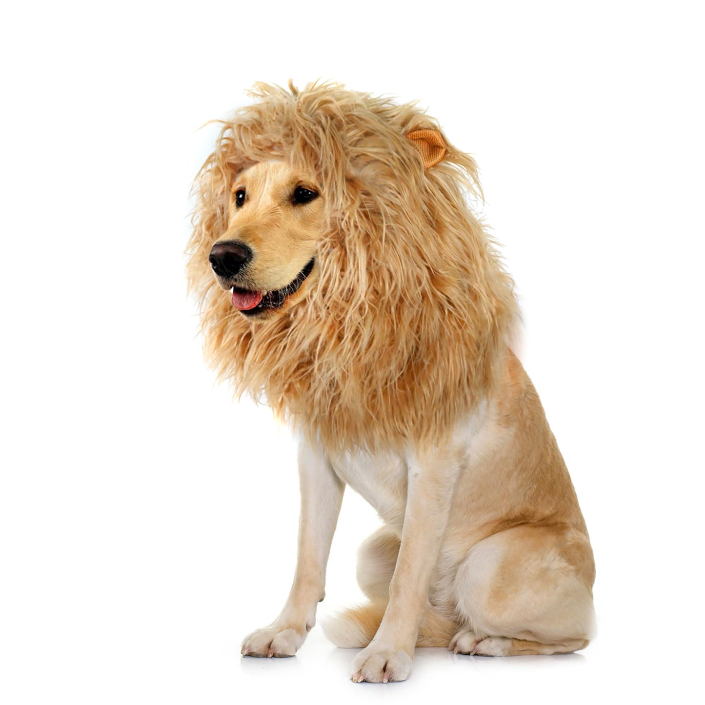 Onmygogo Lion Mane Wig for Dogs with Ears, Funny Pet Costumes for Halloween Christmas (Size L, Yellow)