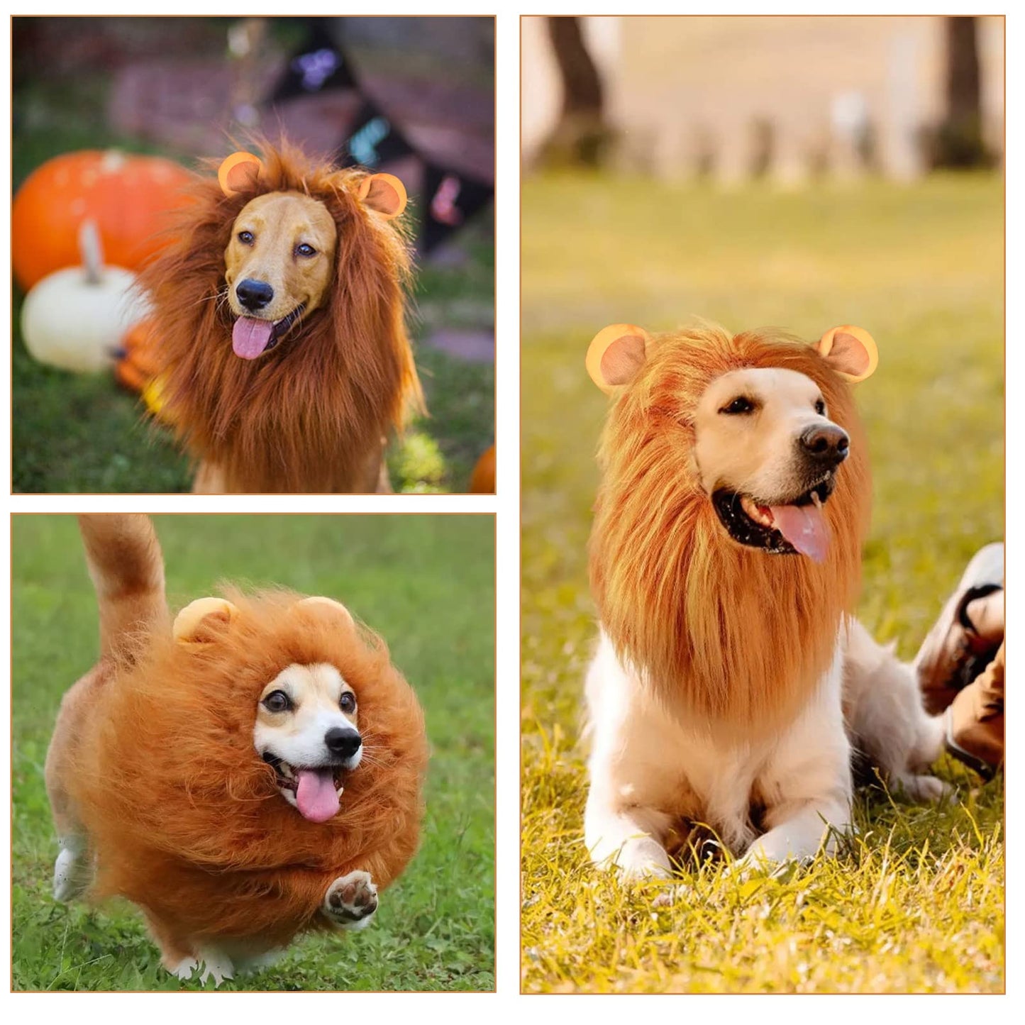 Dog Lion Mane Costume - Realistic Mane with Ears for Medium to Large Sized Dogs, Pet Halloween Costumes Birthday Party Cosplay Apparel