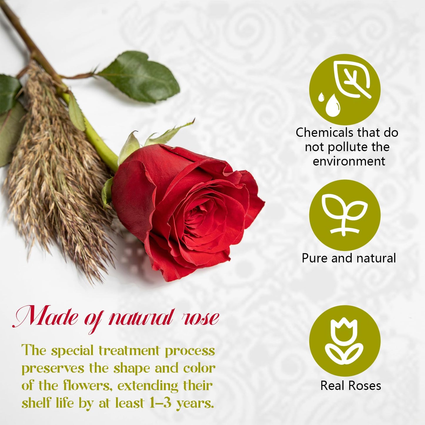 16-Piece Forever Flowers Heart-Shaped Box – Real Immortal Preserved Roses Lasting a Year, Perfect for Birthday, Girlfriend, Mother, or Wife, Valentine Day Gift for Her - Red