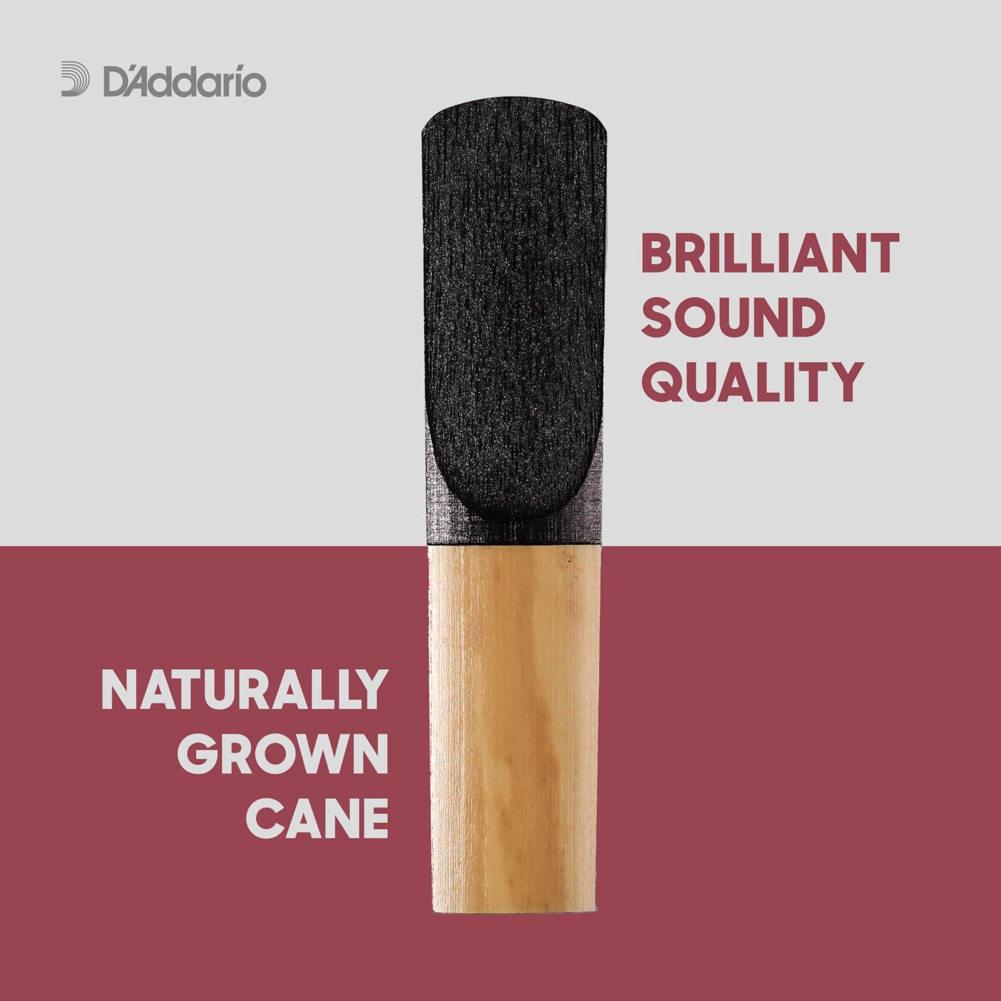 Daddario Woodwinds Plasticover Alto Sax Reeds, Strength 3.5, 5-Pack