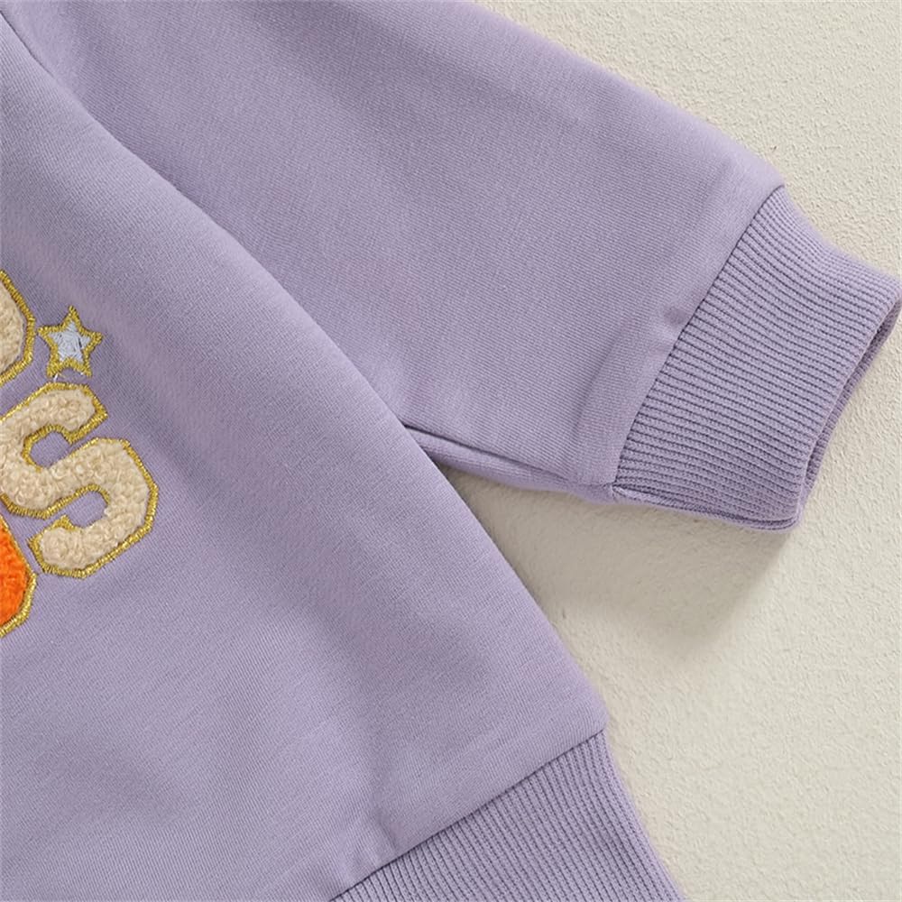 Socutebabe Toddler Halloween Outfit Costume Baby Girl Boo Shirt Sweatshirt and Tulle Skirts Little Girls Clothes (Witch Purple Black, 12-18 Months)