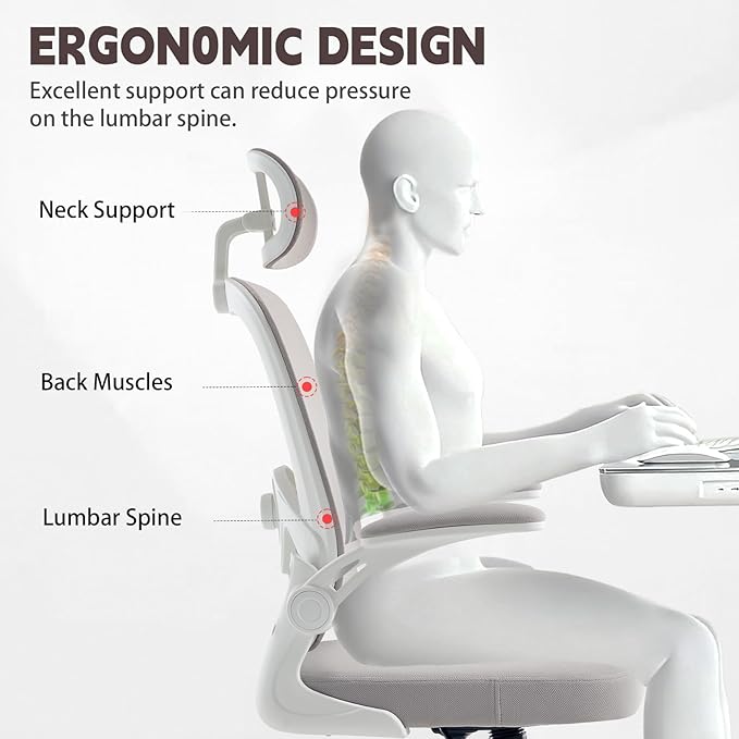 Rishtivin Ergonomic Office Chair with 3D Adjustable Lumbar Support, Mesh High Back, 75° Rotating Headrest, Rocking Function, 300lbs Capacity, Black/White (White)