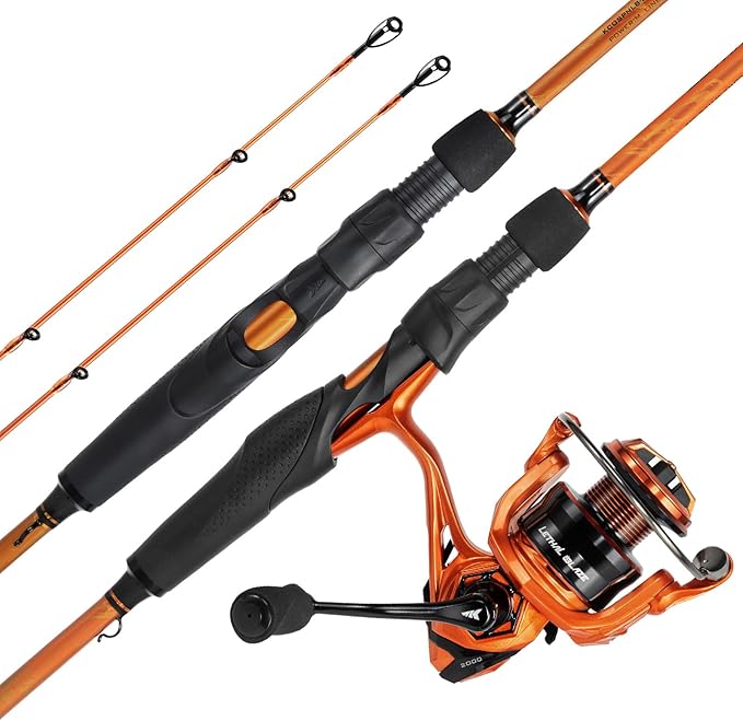 KastKing Lethal Blaze Twin-tip Fishing Rod and Reel Combo, Spinning & Baitcaster Combo, Flame Pattern Design, IM6 Graphite...