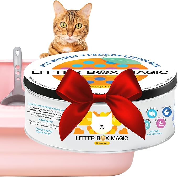 Cat Litter Deodorizer Jar (Orange Scent, 16 Oz, Pack of 1) - Cat Litter Odor Control Gel In A Jar - Cat Litter Box Pet Air Freshener - Litter Odor Eliminator to Freshen Air